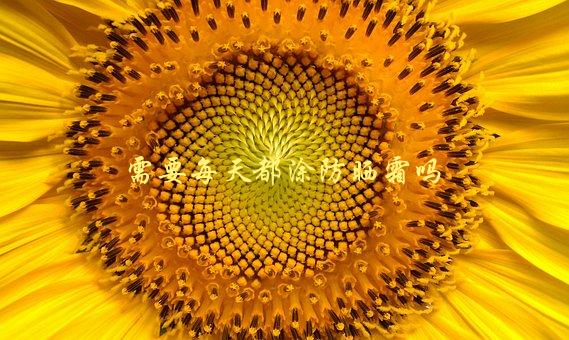 需要每天都涂防晒霜吗，专家为你解答-1