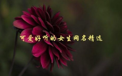 可爱好听的女生网名精选，你不容错过的50个