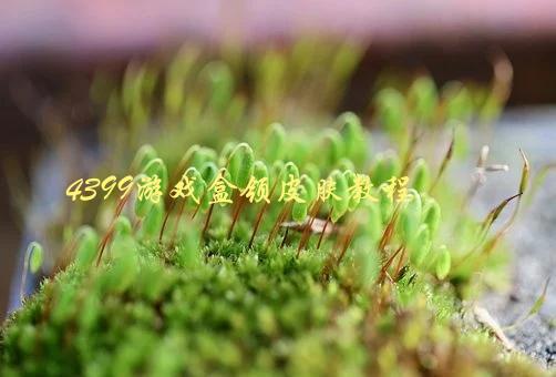 4399游戏盒领皮肤教程，如何轻松获取游戏皮肤-1