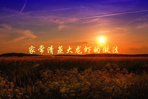 家常清蒸大龙虾的做法，如何做出鲜嫩多汁的大龙虾-1