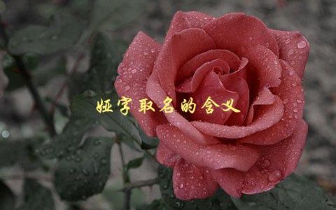 娅字取名的含义，有哪些寓意和特点