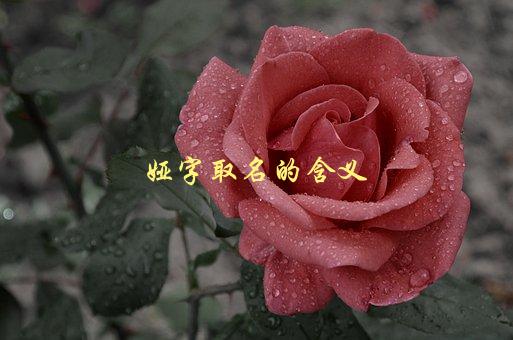 娅字取名的含义，有哪些寓意和特点-1