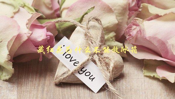 藏红花为什么不能放冰箱，会影响其药效吗-1