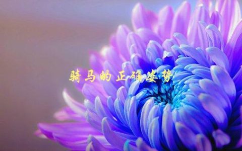 骑马的正确姿势，应该是什么样子的？