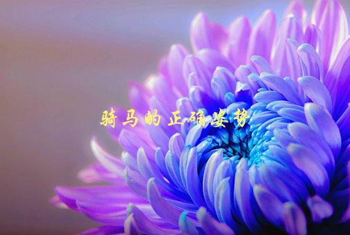 骑马的正确姿势，应该是什么样子的？-1