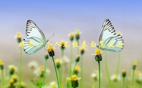 暗恋一个人不敢表白怎么办，应该如何释放心中的情感