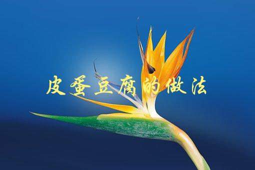 皮蛋豆腐的做法(详细步骤分享)-1
