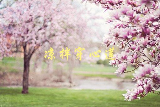 凉拌穿心莲(如何制作口感更佳的凉菜)-1