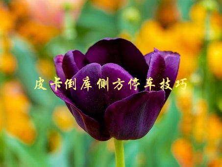 皮卡倒库侧方停车技巧，如何轻松完成-1