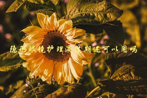 隐形眼镜护理液过期还可以用吗，需要注意哪些问题-1