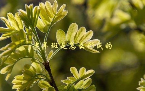 老年斑是怎么形成的，科学解释