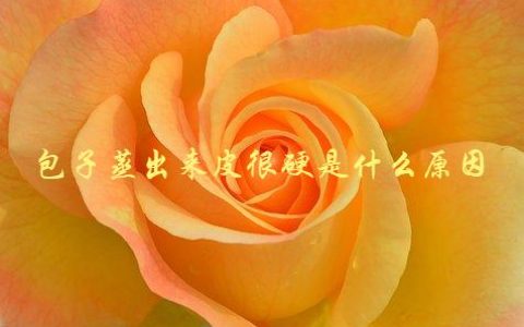 包子蒸出来皮很硬是什么原因，如何解决