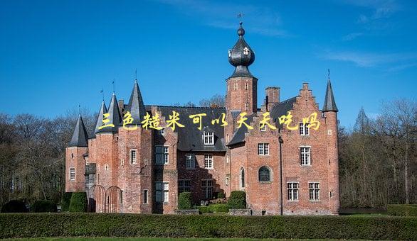 三色糙米可以天天吃吗，营养专家解答-1
