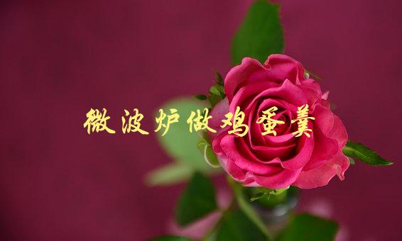 微波炉做鸡蛋羹(如何轻松制作美味佳肴)-1