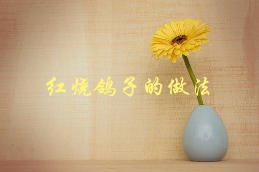 红烧鸽子的做法(如何做出口感鲜美的红烧鸽子)-1