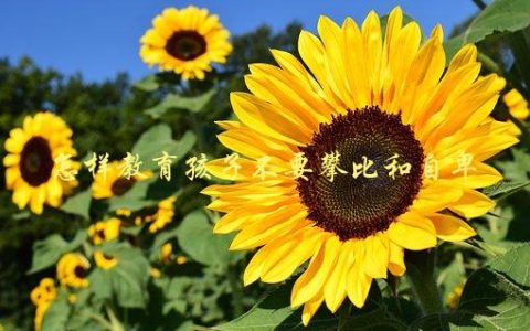 怎样教育孩子不要攀比和自卑，五种有效方法