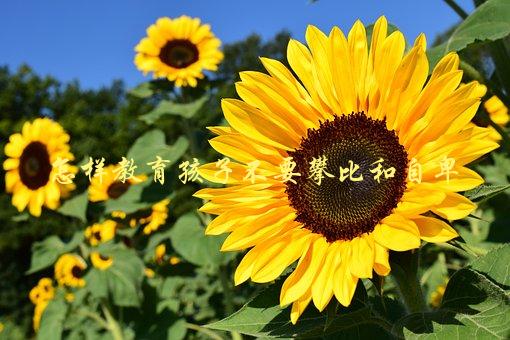 怎样教育孩子不要攀比和自卑，五种有效方法-1