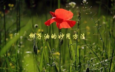 椰子油的妙用方法，有哪些神奇的用途？
