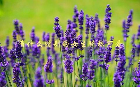 有什么特别的女生昵称可爱，推荐一些独特又可爱的女生昵称