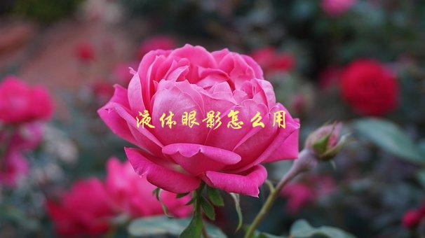 液体眼影怎么用，步骤详解-1