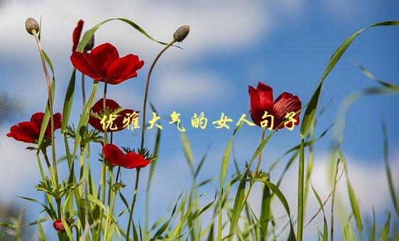优雅大气的女人句子，如何表达自信与优雅-1