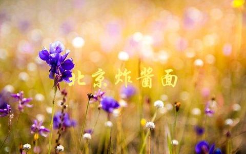 北京炸酱面(如何在家制作正宗口感)