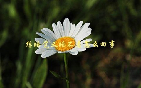 想睡觉又睡不着怎么回事，如何改善失眠问题