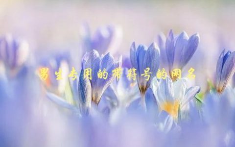 男生专用的带符号的网名，如何选择最适合自己的