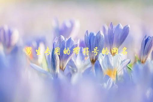 男生专用的带符号的网名，如何选择最适合自己的-1