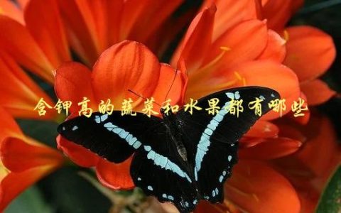 含钾高的蔬菜和水果都有哪些，推荐给高血压患者