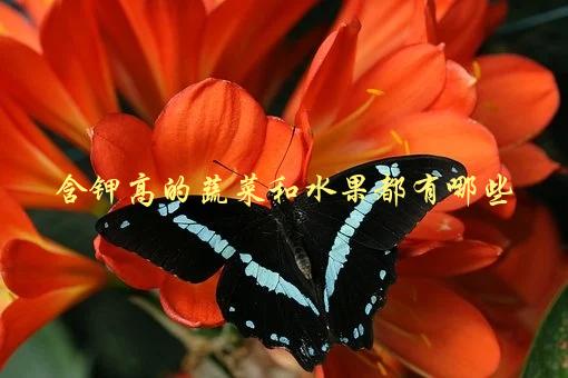 含钾高的蔬菜和水果都有哪些，推荐给高血压患者-1