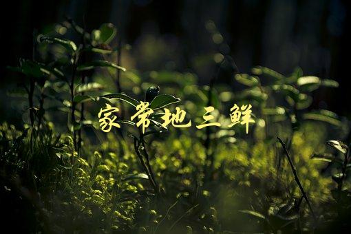 家常地三鲜(怎样做出口感好又美味的家常地三鲜菜)-1