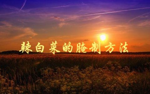 辣白菜的腌制方法(怎样做出口感鲜美的辣白菜)