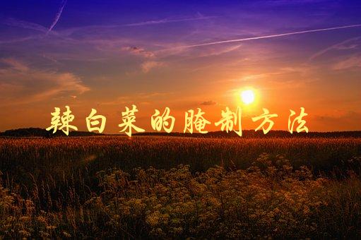 辣白菜的腌制方法(怎样做出口感鲜美的辣白菜)-1