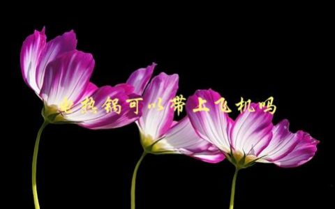 电热锅可以带上飞机吗，了解航空公司规定与注意事项