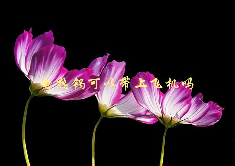 电热锅可以带上飞机吗，了解航空公司规定与注意事项-1