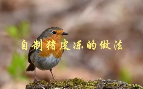 自制猪皮冻的做法(如何制作美味的猪皮冻)