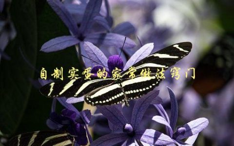 自制实蛋的家常做法窍门，如何让蛋黄和蛋白分离更容易