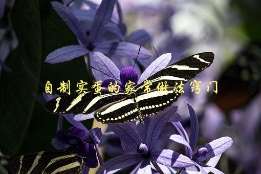 自制实蛋的家常做法窍门，如何让蛋黄和蛋白分离更容易-1