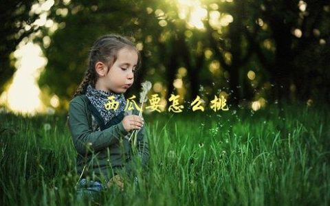 西瓜要怎么挑，选购技巧大揭秘