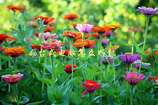 HP台式电脑怎么拆机，详细步骤解析-1