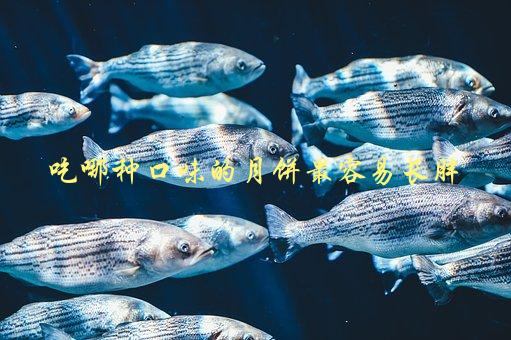 吃哪种口味的月饼最容易长胖，专家解答-1