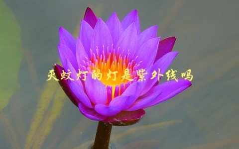灭蚊灯的灯是紫外线吗，你需要知道的关于灭蚊灯的真相