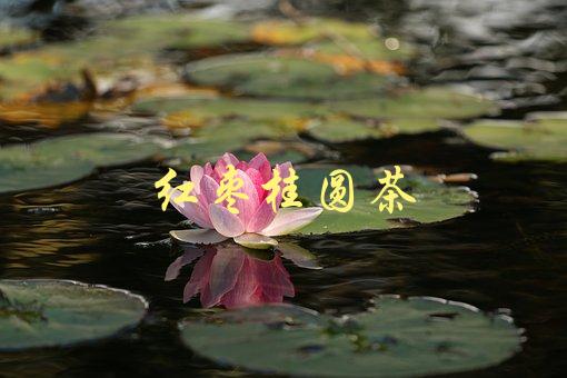 红枣桂圆茶(有哪些功效和作用)-1