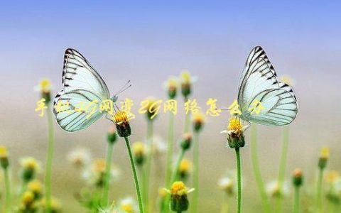 手机4G网变2G网络怎么办，快速解决方法
