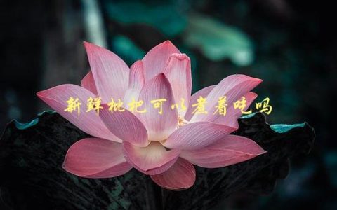 新鲜枇杷可以煮着吃吗，营养价值更高的食用方法