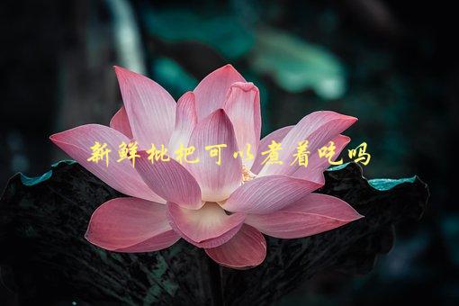 新鲜枇杷可以煮着吃吗，营养价值更高的食用方法-1