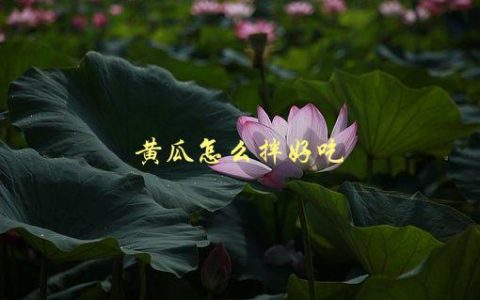黄瓜怎么拌好吃，有哪些简单易学的拌法