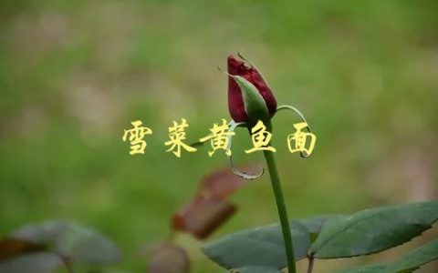 雪菜黄鱼面(如何做出最地道的家常味道)