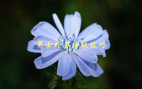 男士外套搭配技巧，如何让你的穿搭更有品味
